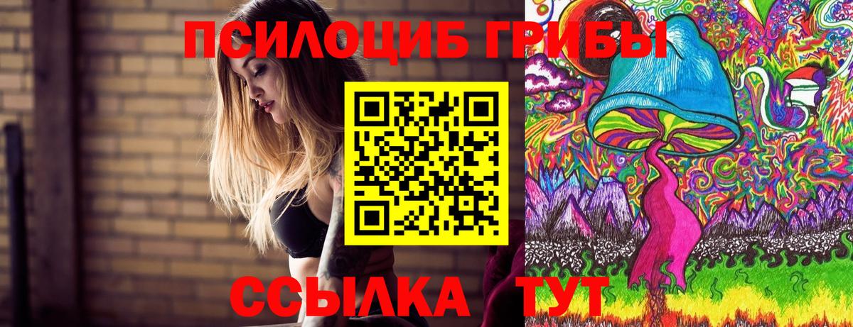 Галлюциногенные грибы MAGIC MUSHROOMS Губкинский