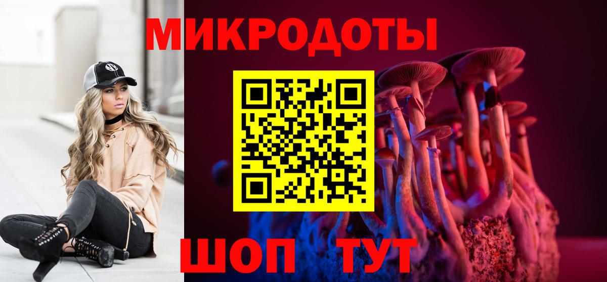 как найти наркотики  Галлюциногенные грибы Magic Shrooms  Вход с VPN  Псилоцибиновые грибы прущие грибы  Губкинский 
