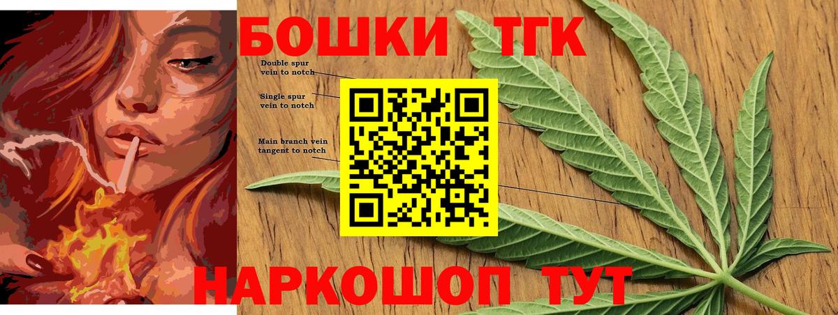 Канабис планчик Губкинский